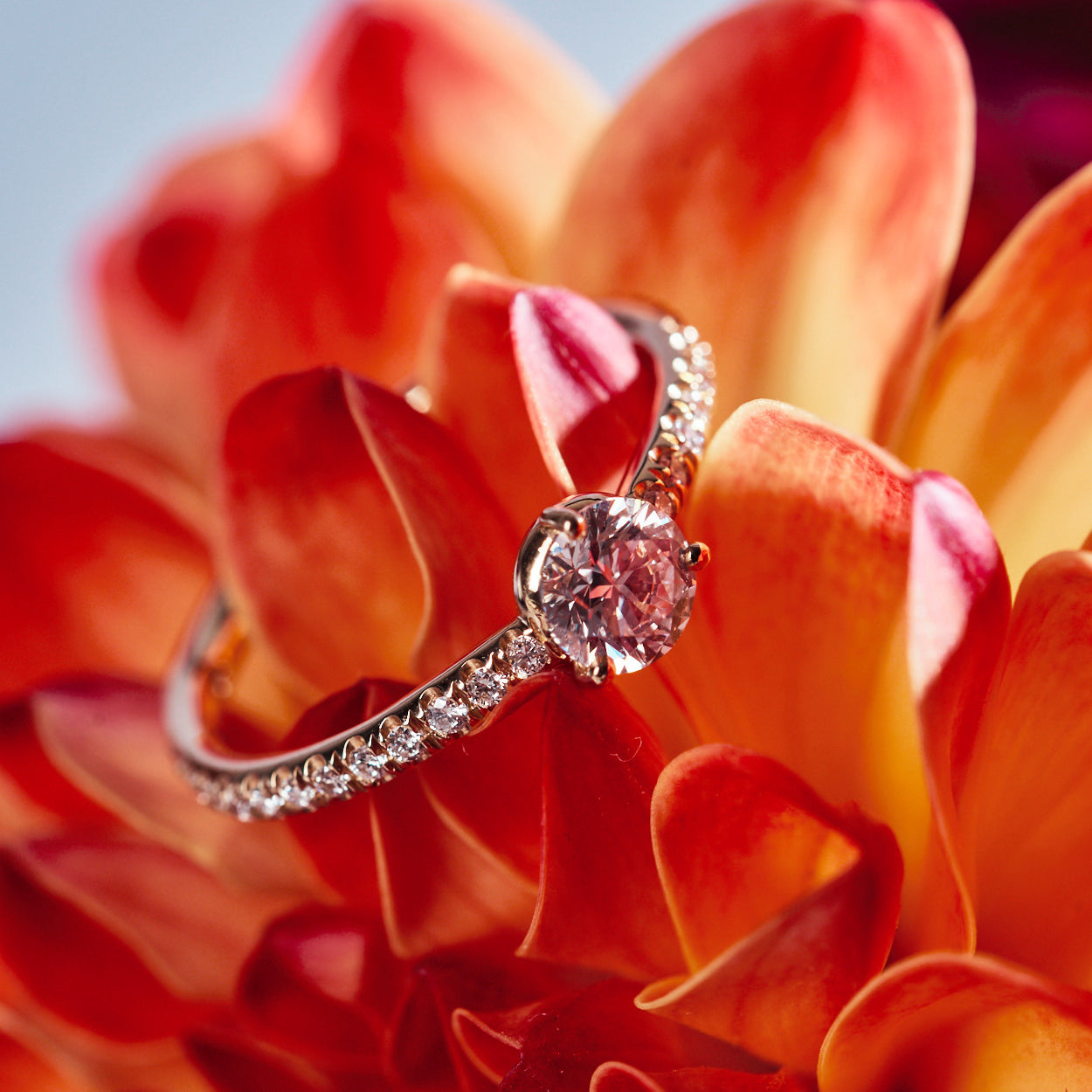 Solitaire Absolu.e 0.25ct pavé - Or jaune 18k - diamant éthique - Loyale Paris