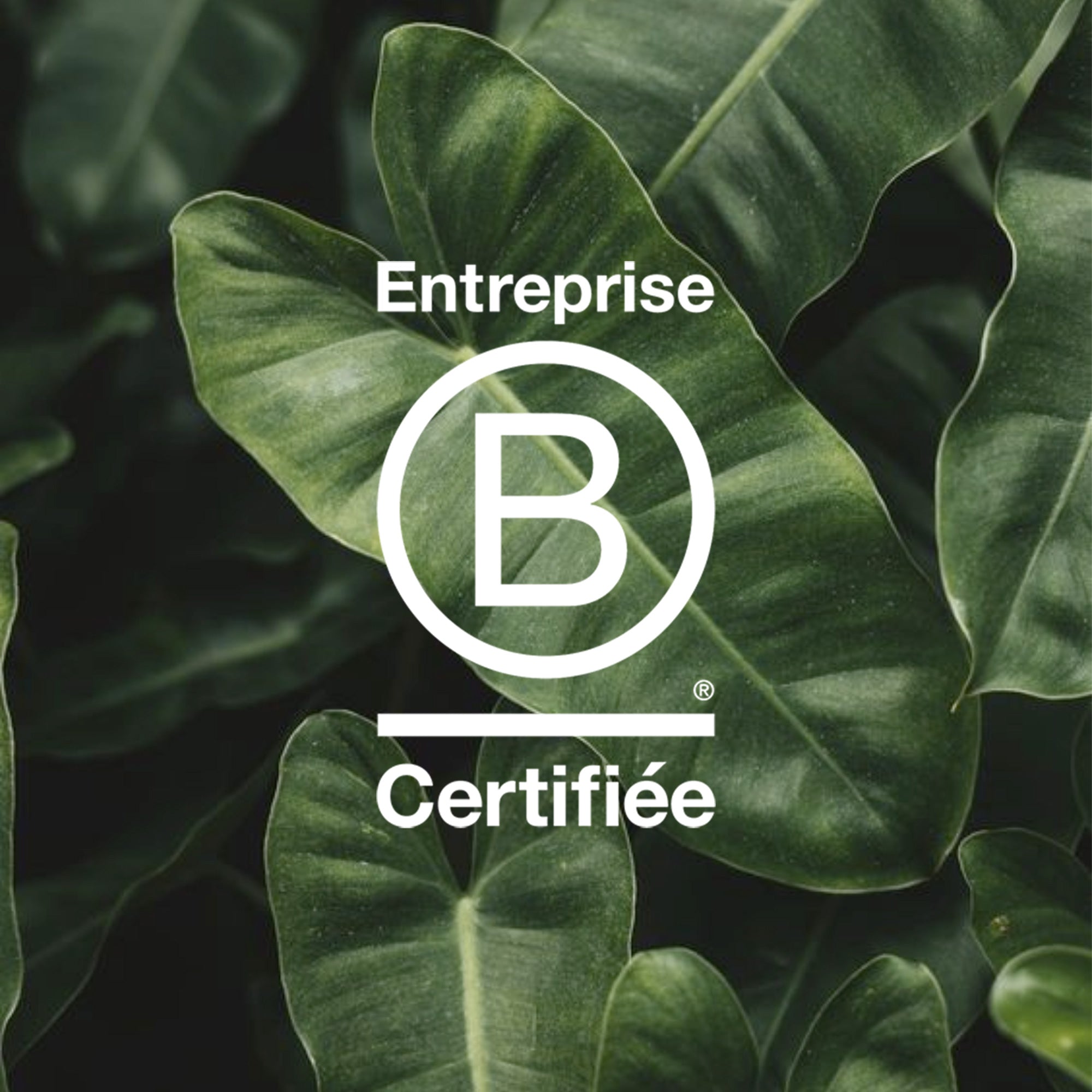 certification bcorp entreprise certifiée b corp maison de joaillerie loyale paris