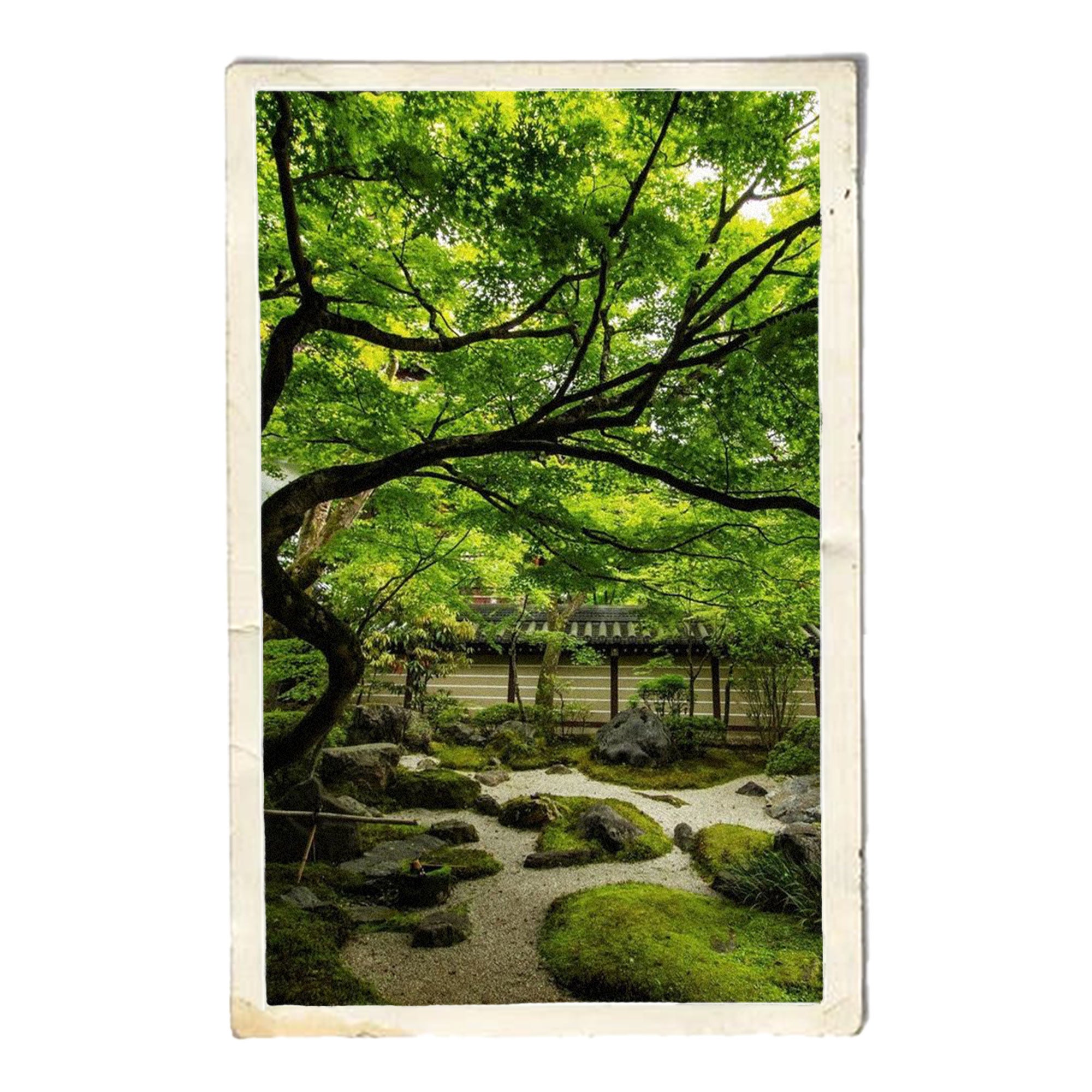 inspiration collection ride and love pierre de gué japonaise maison de joaillerie loyale paris